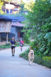 BIB: 
                            <button type="button" onclick="openModal(19336372)" class="btn btn-primary btn-sm float-right btn-popup" data-toggle="modal" data-target=".modal-high-quality">
                        <i class="fas fa-shopping-cart"></i> Add to Cart
                    </button>
                                            <button type="button" onclick="isThisMe(19336372, true)" class="btn btn-success btn-sm float-right btn-popup btn-isme hidden" data-toggle="tooltip" data-placement="bottom" title="นี่คือรูปของคุณใช่ไหม คลิกที่นี่เพื่อเอาเข้าอัลบั้ม">
                        <i class="fas fa-plus"></i> Add to album
                    </button>
                    <button type="button" onclick="isThisMe(19336372, false)" class="btn btn-warning btn-sm float-right btn-popup btn-isnotme hidden">
                        <i class="fas fa-ban"></i> Remove from album
                    </button>